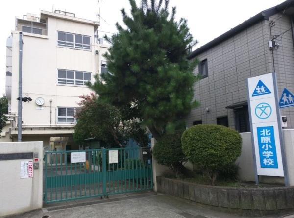 　中野区立北原小学校（小学校）／415m　