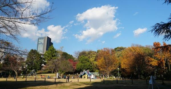 ライオンズステージ渋谷松見坂　目黒区立菅刈公園（公園）／850m　