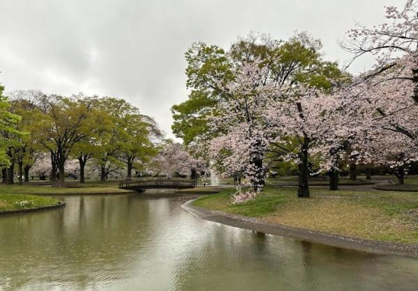 ジオグランデ代々木の杜　東京都立代々木公園（公園）／630m　