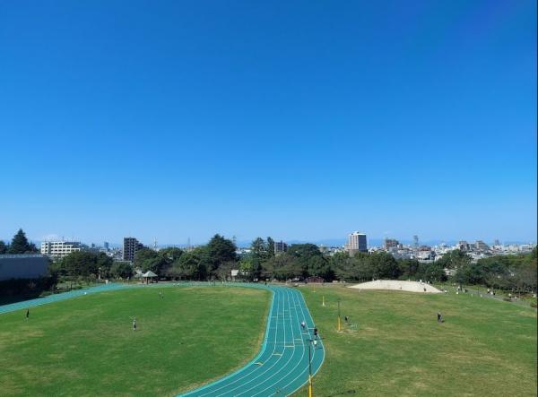 オープンレジデンシア中野新井コート　平和の森公園（公園）／496m　