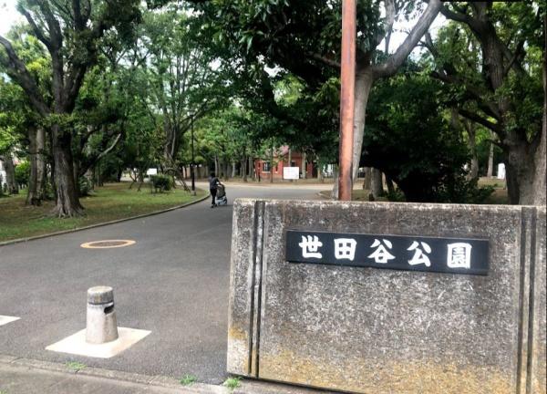 サニーコート祐天寺　世田谷公園（公園）／663m　