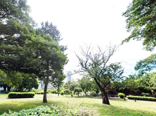 　青山公園北地区（公園）／300m　