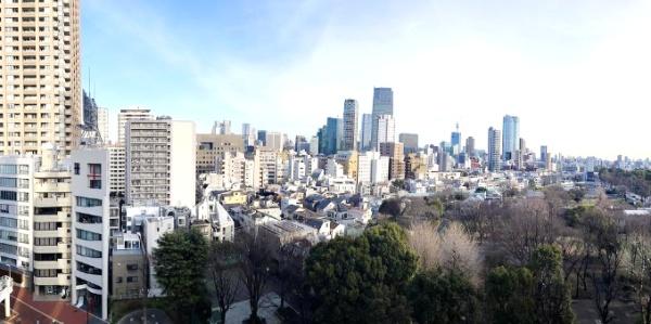 ラ・セーナ南青山　現地からの眺望　