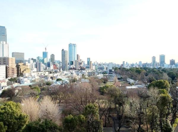 ラ・セーナ南青山　現地からの眺望　