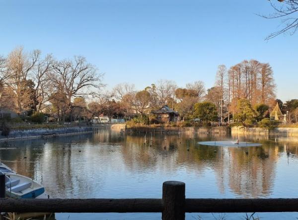 アルス学芸大学鷹番館　碑文谷公園（公園）／407m　