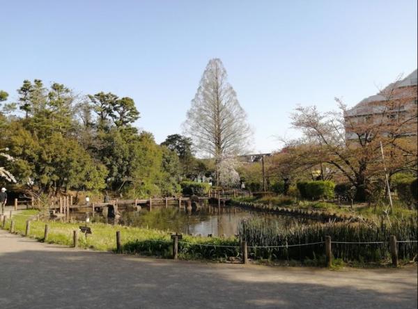 サンハイツ哲学堂　哲学堂公園（公園）／321m　