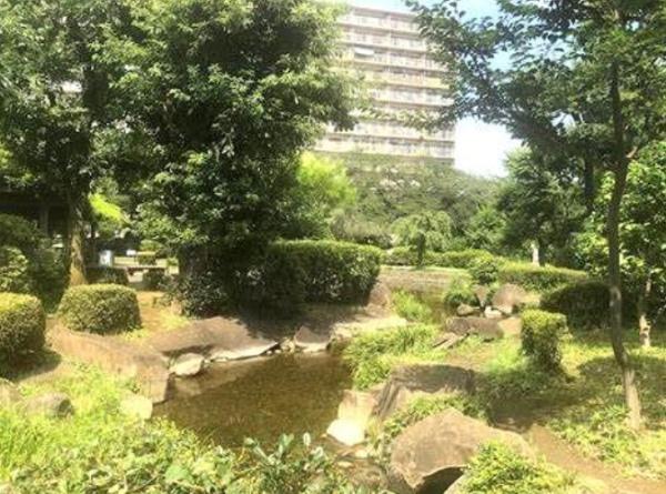 ライオンズマンション下落合　せせらぎの里公園（公園）／250m　