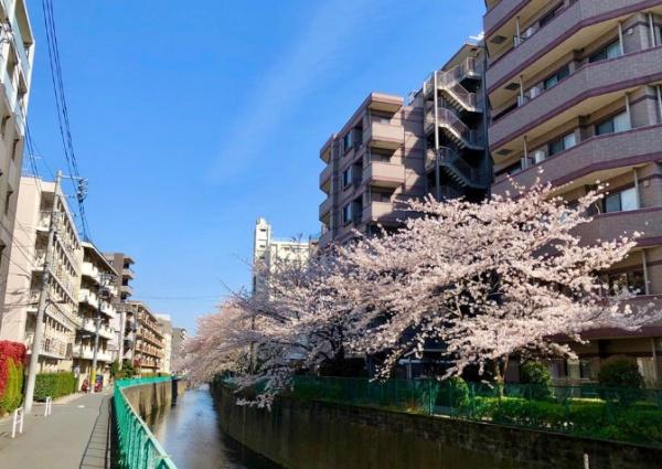 ライオンズマンション下落合　その他　