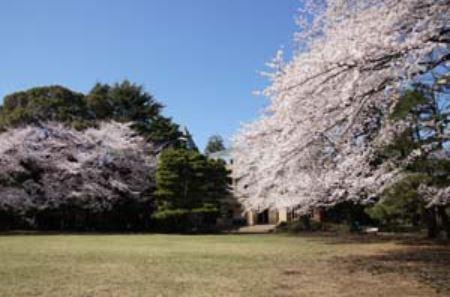 　駒場公園（公園）／350m　徒歩5分