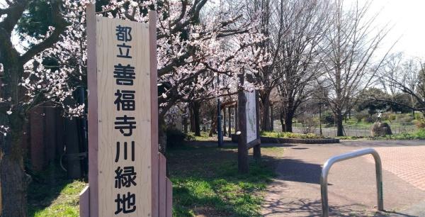 　善福寺川緑地（公園）／852m　