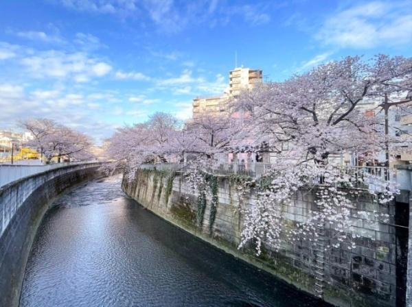 ザ　パームス東中野エアリィタワー　その他　