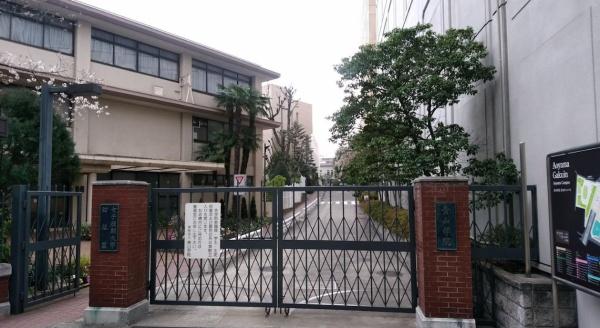 グランリビオ表参道　青山学院幼稚園（幼稚園・保育園）／503m　