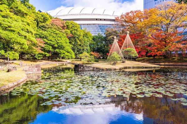 フォルム小石川　小石川後楽園（公園）／800m　