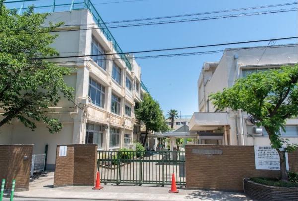 　世田谷区立瀬田小学校（小学校）／508m　