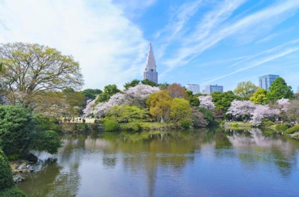 　新宿御苑（公園）／750m　