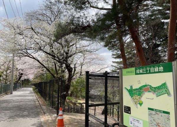 カーサソサエティ成城　成城三丁目緑地（公園）／1126m　