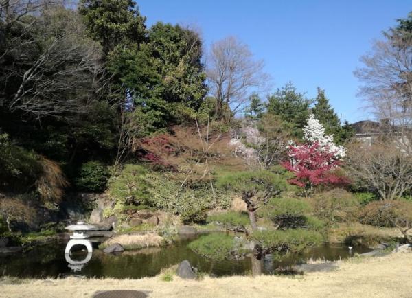 メイツ中目黒　西郷山公園（公園）／774m　