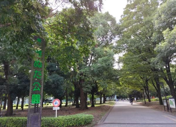 セボンエトワール砧公園　東京都立砧公園（公園）／821m　