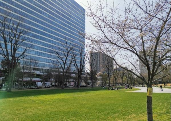 ライオンズマンション中野桃園　中野区立中野四季の森公園（公園）／808m　