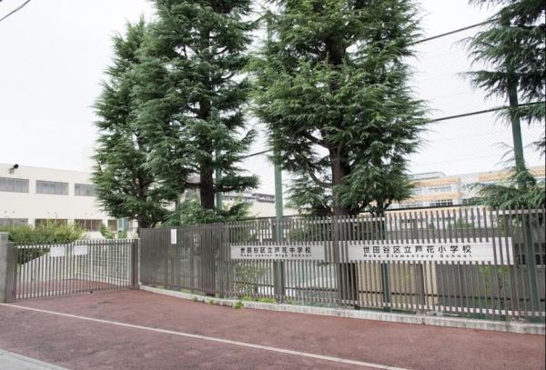 オーベル蘆花公園　世田谷区立芦花中学校（中学校）／791m　