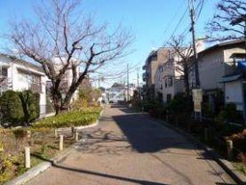 ザ・パークハウス代々木大山　玉川上水第二緑道（公園）／337m　