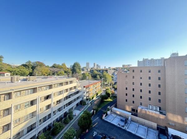 ブランシエラおとめ山公園　現地からの眺望　