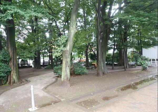 藤和南荻窪二丁目ホームズ　宮前けやき緑地（公園）／1051m　